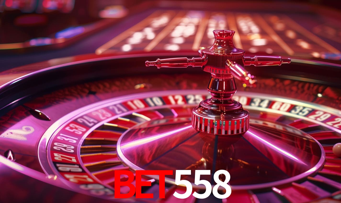 Programa VIP bet558
