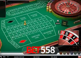 Apostas Esportivas na BET558: Um Guia Completo